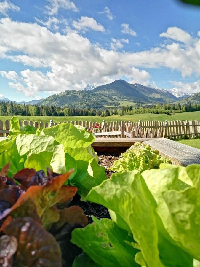Landhaus Bergblick Kossen Luaran gambar